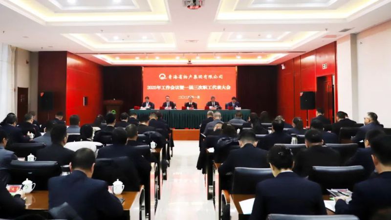 堅(jiān)定信心促發(fā)展 實(shí)干爭先攀新高——省物產(chǎn)集團(tuán)2025年工作會(huì)議暨一屆三次職代會(huì)勝利召開